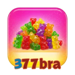 377bra